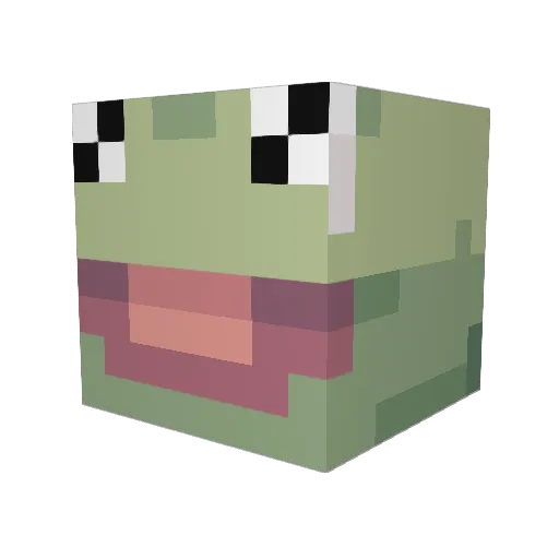 Rainbow_Cat336 Minecraft avatar head, 3D render