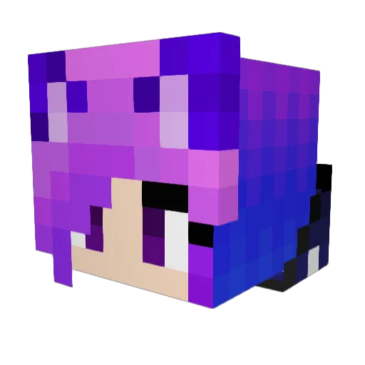 Rainbow_Catt Minecraft avatar head, 3D render