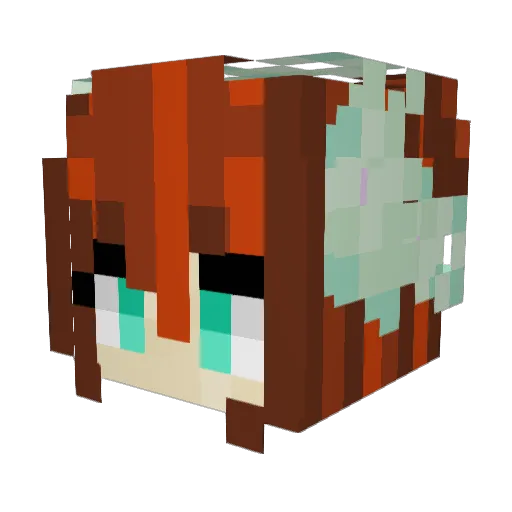 Rainbow_EmoKid Minecraft avatar head, 3D render