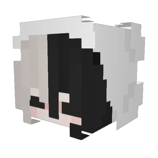 Rainbow_LOL Minecraft avatar head, 3D render