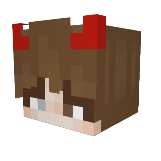 Rainbow_Lace Minecraft avatar head, 3D render