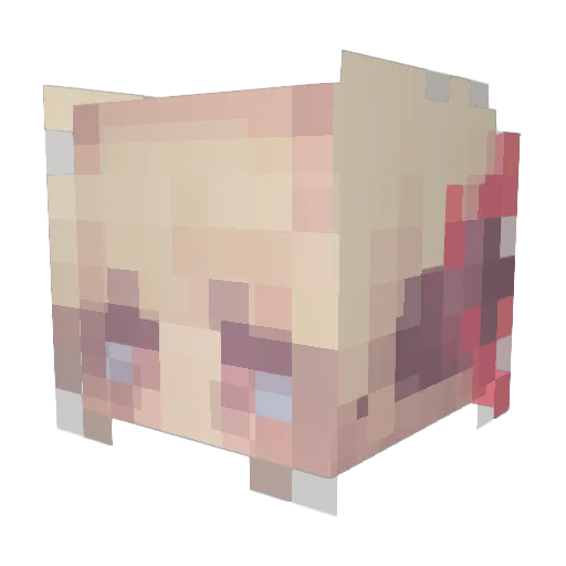 Rainbowdash2025 Minecraft avatar head, 3D render