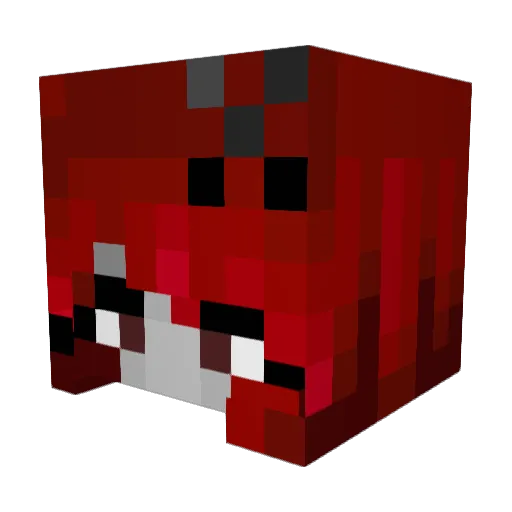Rainbowevil74 Minecraft avatar head, 3D render