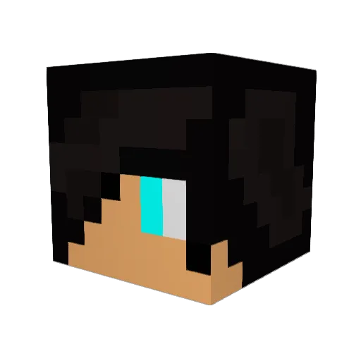 Rainbowflag3233 Minecraft avatar head, 3D render