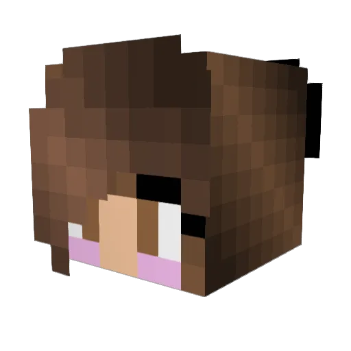Rainbowian Minecraft avatar head, 3D render