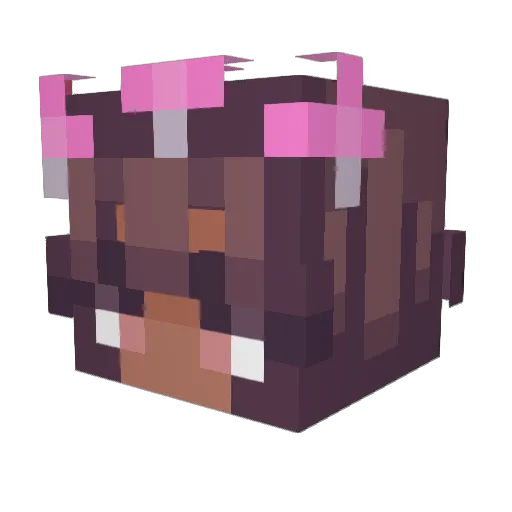 Rainbowpixelzzz Minecraft avatar head, 3D render