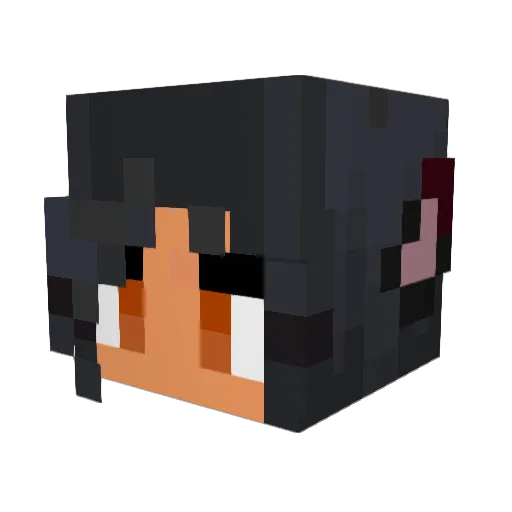 Rainbows552 Minecraft avatar head, 3D render