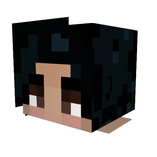 Rainbowstar2011 Minecraft avatar head, 3D render