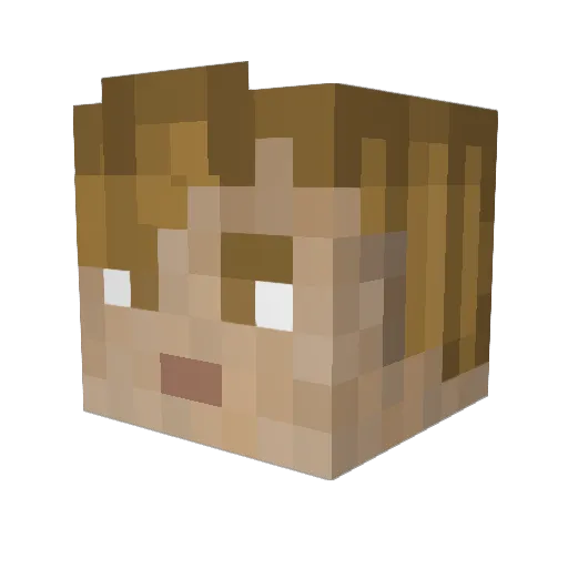 Rainboy_08 Minecraft avatar head, 3D render