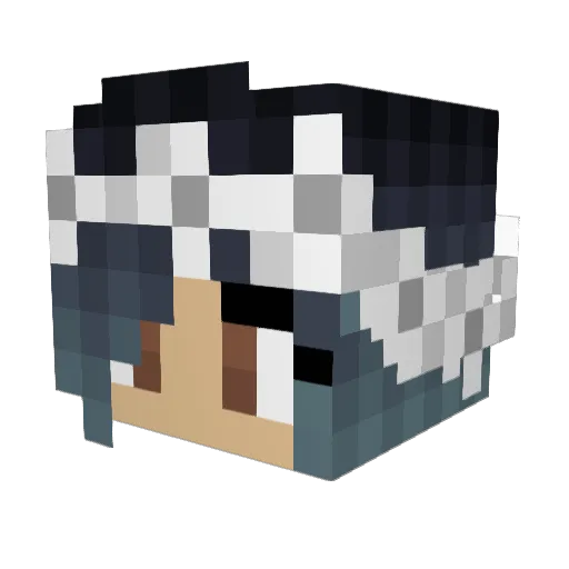 Raincloud23 Minecraft avatar head, 3D render