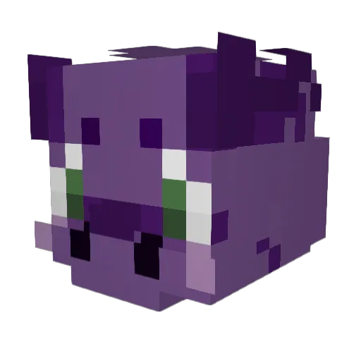 RaincloudDragon Minecraft avatar head, 3D render