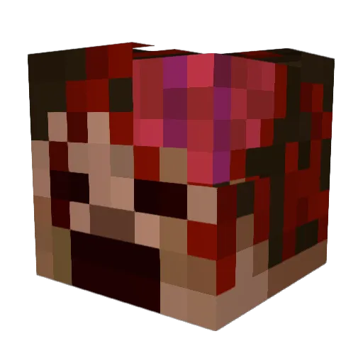Raindoss Minecraft avatar head, 3D render