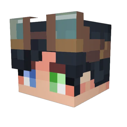 Raindrop1224 Minecraft avatar head, 3D render