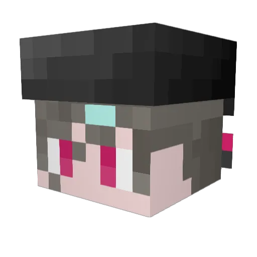 RaineFin Minecraft avatar head, 3D render