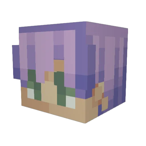 RaineStorm28 Minecraft avatar head, 3D render