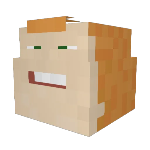 RainerWinklaa Minecraft avatar head, 3D render