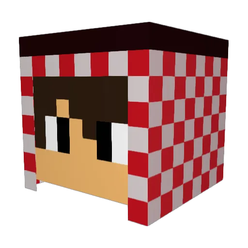 Rainerr628 Minecraft avatar head, 3D render