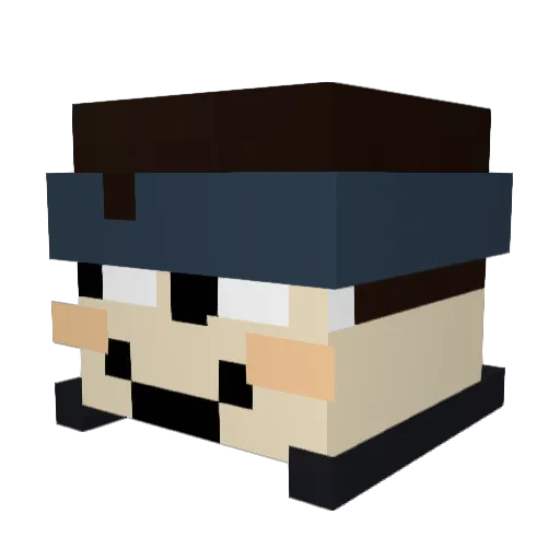 Rainewaters Minecraft avatar head, 3D render