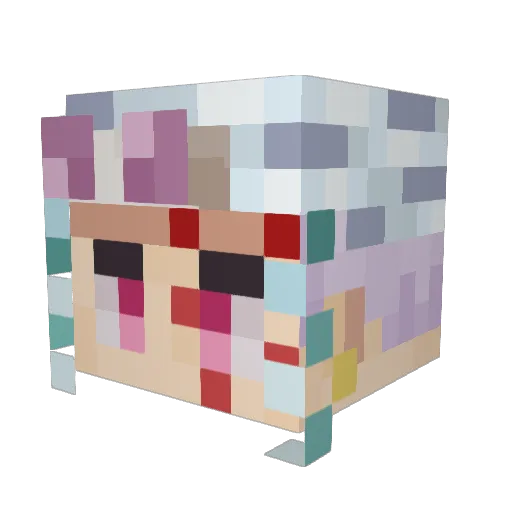 RaineyNitez Minecraft avatar head, 3D render