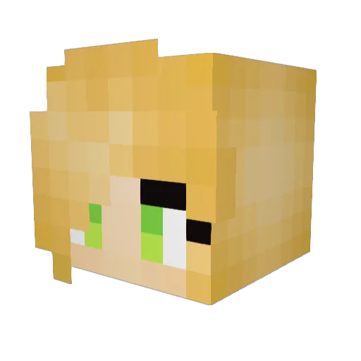 Rainforest42 Minecraft avatar head, 3D render