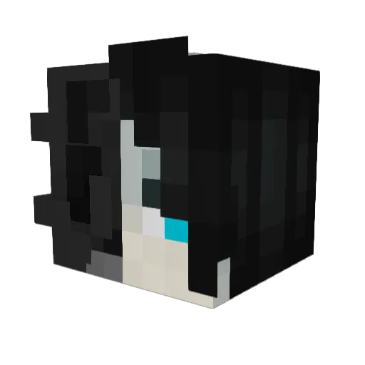 RainforestVeil Minecraft avatar head, 3D render