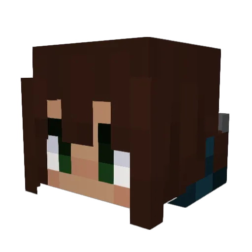 Rainfoster Minecraft avatar head, 3D render