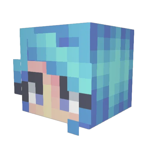Rainguin Minecraft avatar head, 3D render
