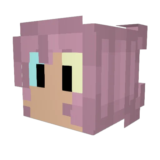 RainierDay Minecraft avatar head, 3D render