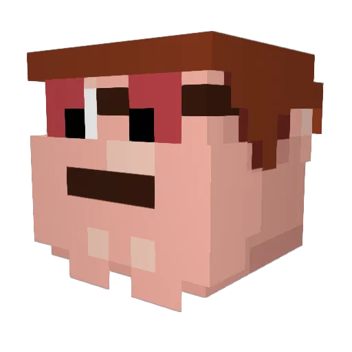 RainingDogs26 Minecraft avatar head, 3D render