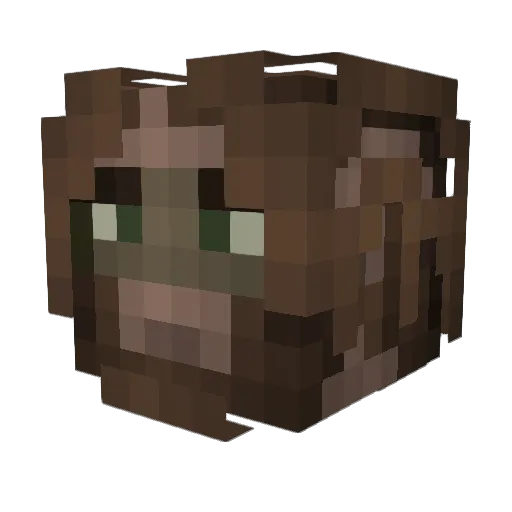 RainingFreds Minecraft avatar head, 3D render