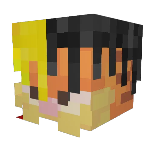 RainingSun Minecraft avatar head, 3D render