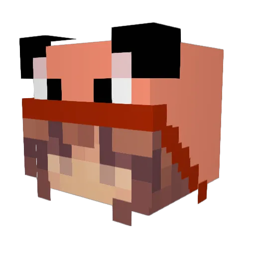 RainingTacos445 Minecraft avatar head, 3D render