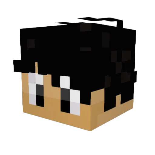 RainingZoos Minecraft avatar head, 3D render