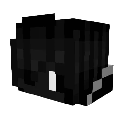 Rainken27 Minecraft avatar head, 3D render