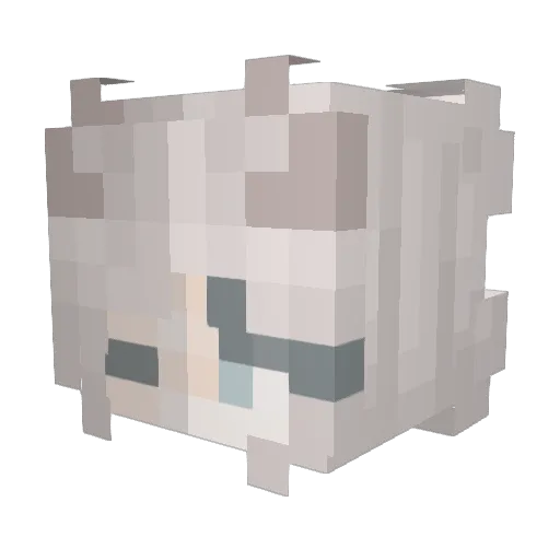 Rainlow_BatimCP9 Minecraft avatar head, 3D render