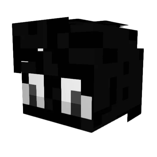 RainnyGrey Minecraft avatar head, 3D render
