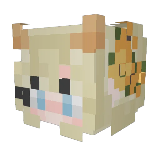 Rainoot Minecraft avatar head, 3D render
