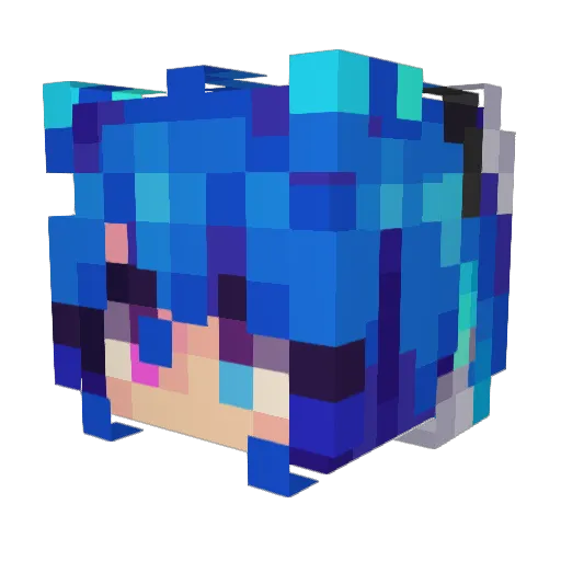 Rainplosion Minecraft avatar head, 3D render