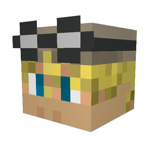 Raint0ast Minecraft avatar head, 3D render