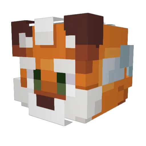 Rainvern Minecraft avatar head, 3D render