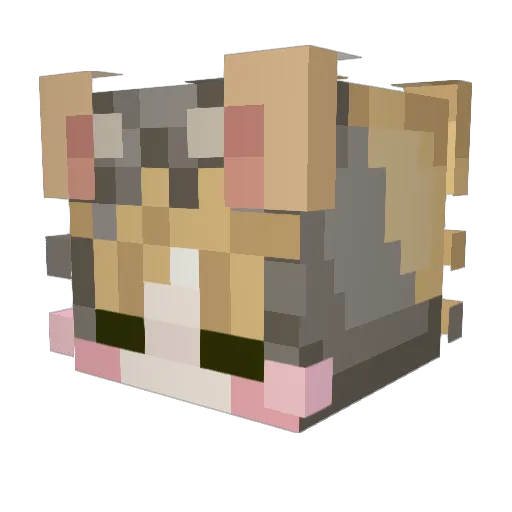 Rainworlds7 Minecraft avatar head, 3D render