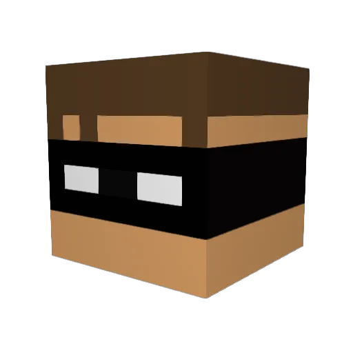 Rainwrath Minecraft avatar head, 3D render