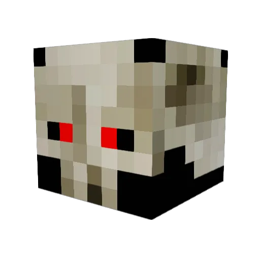 RainxX35 Minecraft avatar head, 3D render