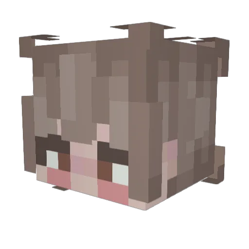 RainyDaysRain Minecraft avatar head, 3D render
