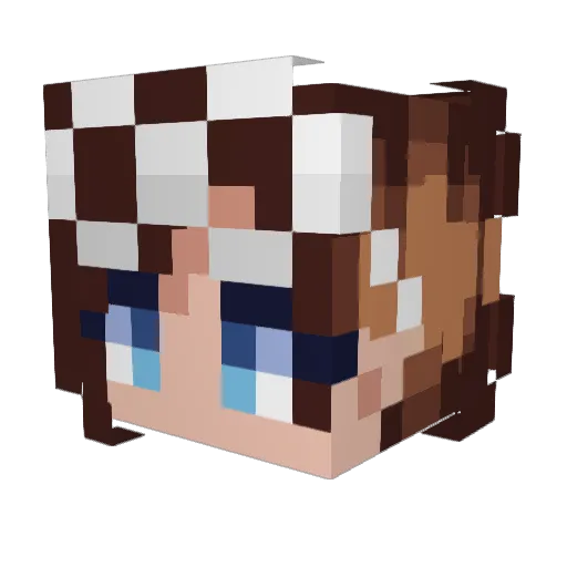RainyDayz0 Minecraft avatar head, 3D render