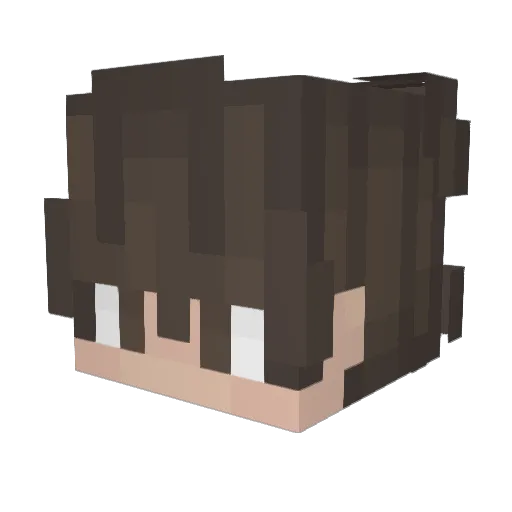 RainyJam Minecraft avatar head, 3D render