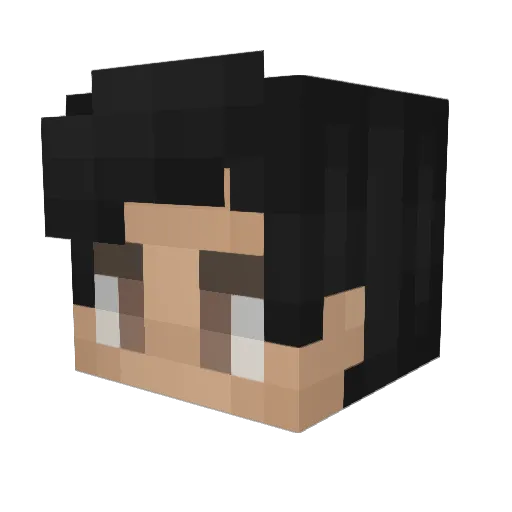 RainyP_ Minecraft avatar head, 3D render