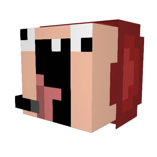 RainyPushy614 Minecraft avatar head, 3D render