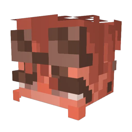 RainySnowy Minecraft avatar head, 3D render
