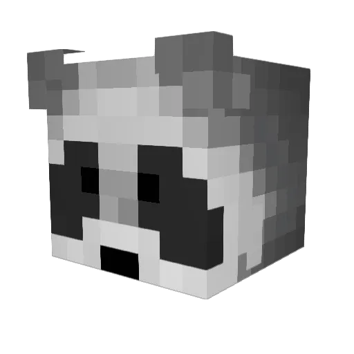 RainyWolves Minecraft avatar head, 3D render